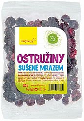 Wolfberry Černice sušené mrazom 20 g